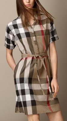 Burberry Dress Skirts-8